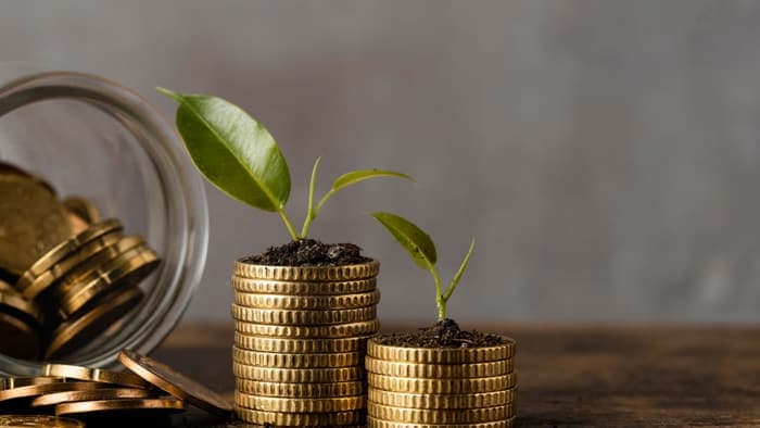 Investment Opportunities in South Africa